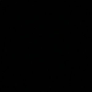 Meet your Posher, Kenzie